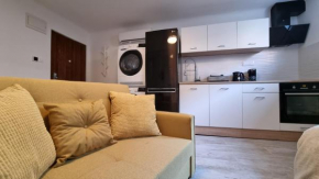 Renovated Studio w Queen Bed, 55'' TV, Washer & Tumble Dryer